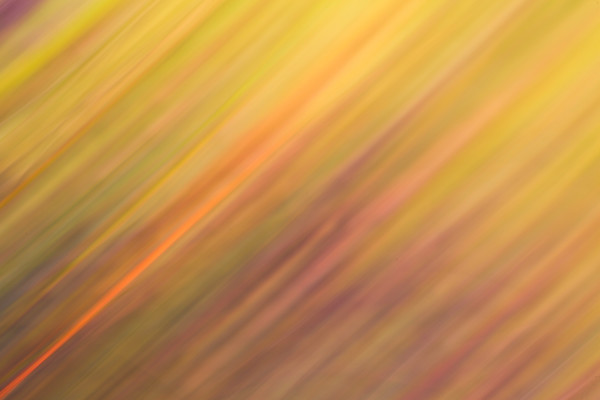 grass-5c 
 Keywords: Countries, Deschampsia cespitosa 'Goldtau', ICM, Scotland, abstract, garden photography, grass, impressionist, intentional camera movement, nature, slow shutter, tufted hair grass